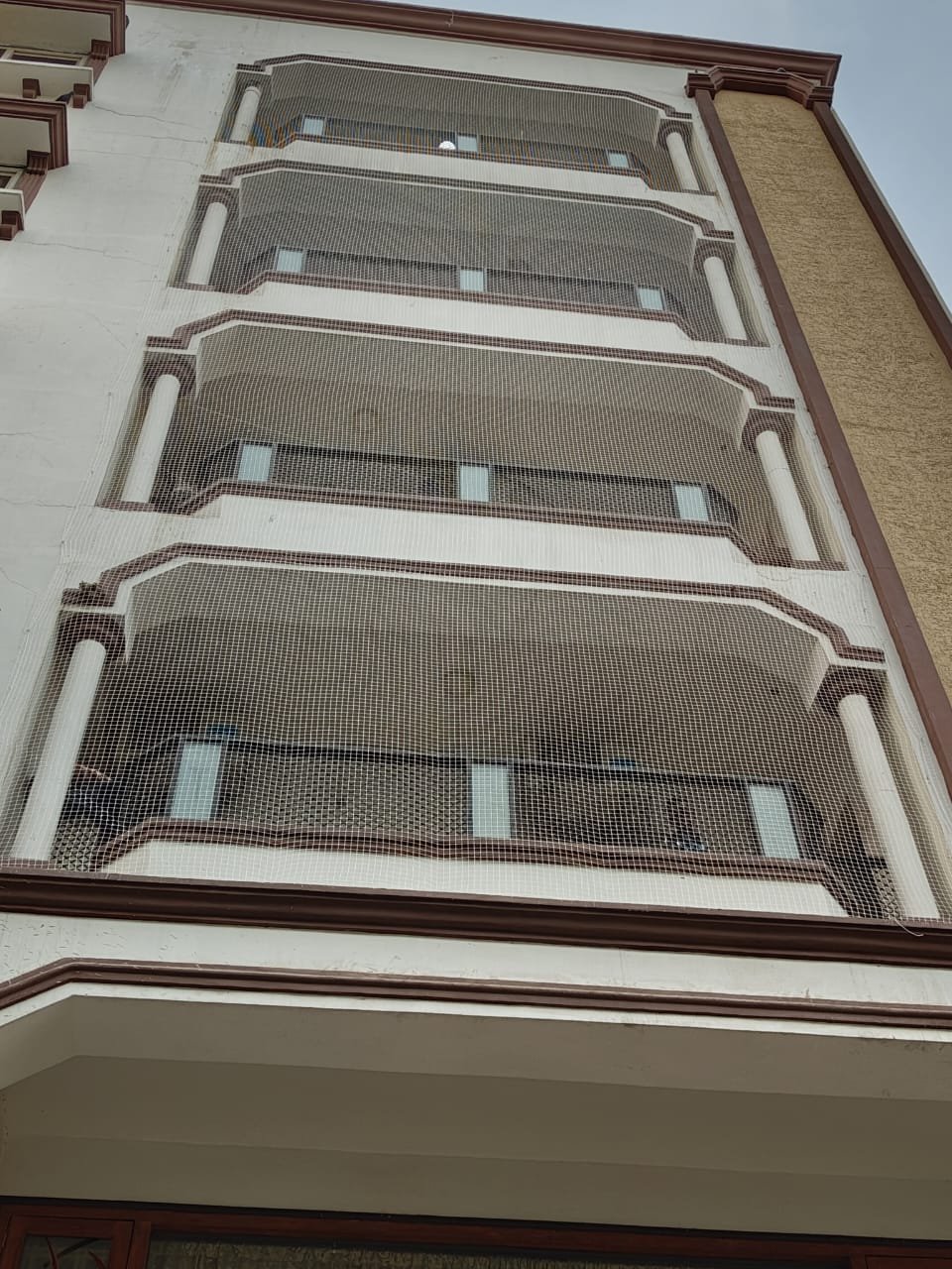 Window Safety Nets